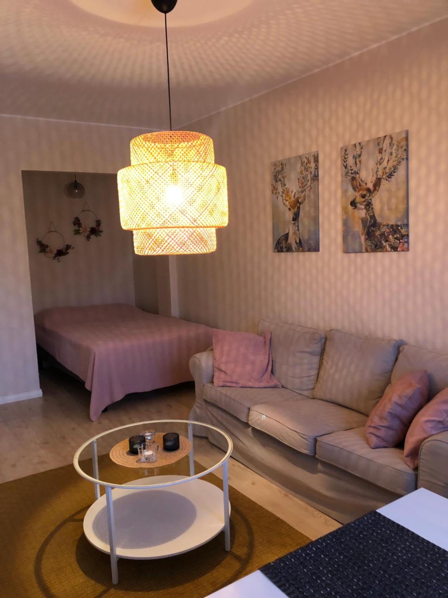 Kemi City Center 2 Room And Kitchen Free Private Parking Екстер'єр фото